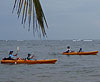 Kayaking tours in Costa Rica